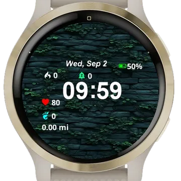 Close Up Fire Hydrant Top Brick Garmin watch face preview