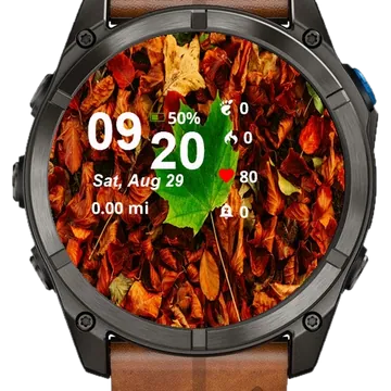 Close Up Leaf Laying Ground Garmin watch face preview