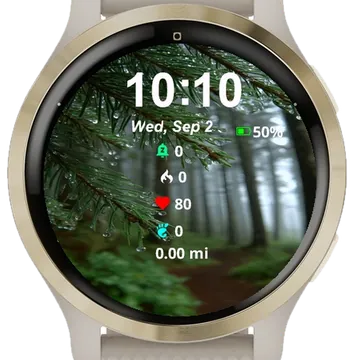 Close Up Trail Woods Covered Water Garmin watch face preview
