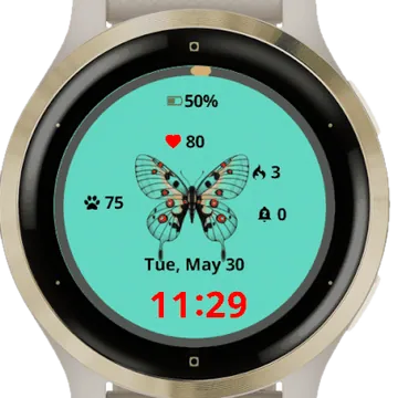 Color Butterfly Garmin watch face preview