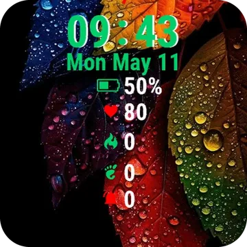 Colorful Leaves Water Garmin watch face preview