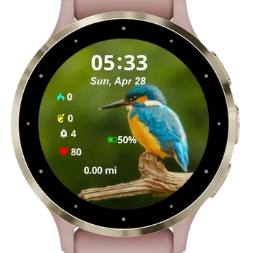 Colorful sitting bird tree Garmin watch face preview
