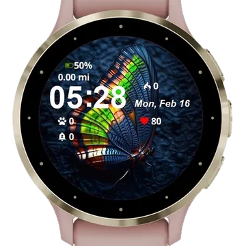 Colorful Wings Dark Garmin watch face preview