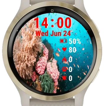 Corals Fish Red Sea Egypt Garmin watch face preview