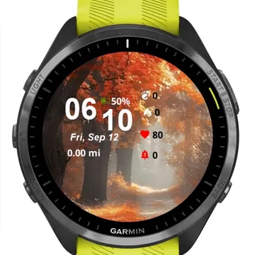 Crimson Pathway Garmin watch face preview