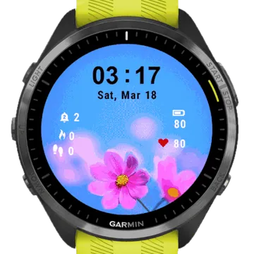 Crisp Garmin watch face preview