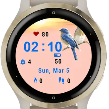 Cute Birds Garmin watch face preview
