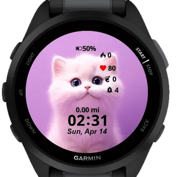 Cute Cat Garmin watch face preview