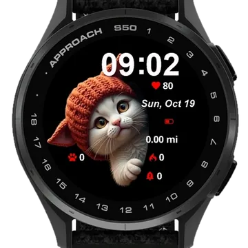 Cute Cat Halloween 2 Garmin watch face preview