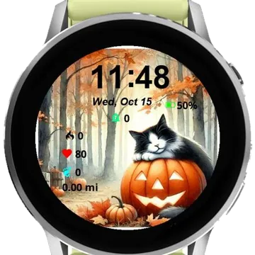 Cute Cat Halloween Garmin watch face preview