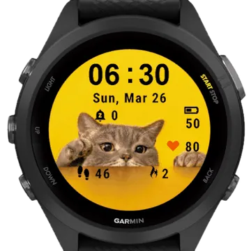 Cute Cat Garmin watch face preview