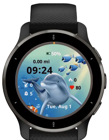 Cute Dolphin Garmin watch face preview