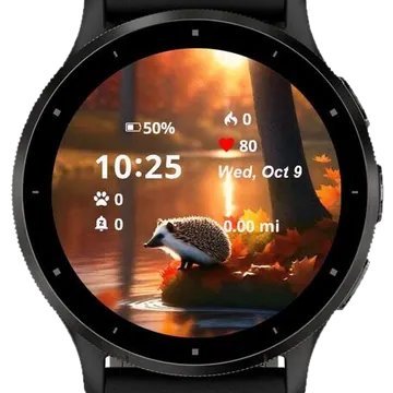 Cute Hadgedog Autumn Garmin watch face preview
