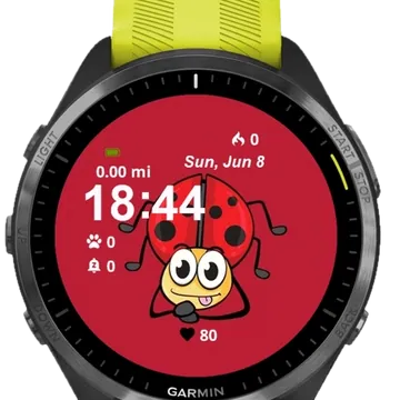 Cute Ladybug Garmin watch face preview