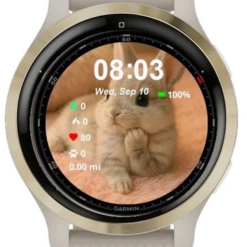 Cute Little Bunny Garmin watch face preview