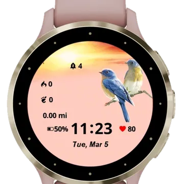 Cute Lovely Birds Garmin watch face preview
