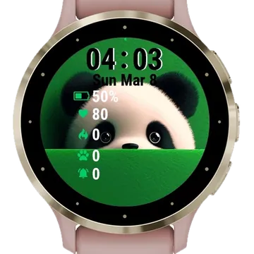 Cute Panda Bear Garmin watch face preview