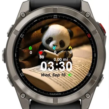 Cute Panda Garmin watch face preview