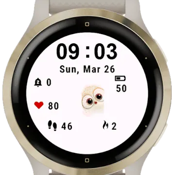 Cutty Garmin watch face preview