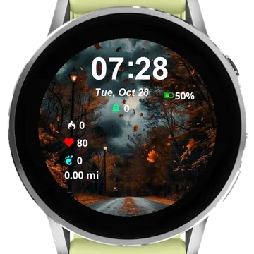 Dark Autumn Garmin watch face preview