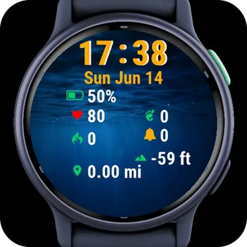 Dark Forest Fog Trees Garmin watch face preview
