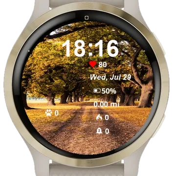 Dirt Road Has Many Trees Both Garmin watch face preview