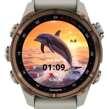 Dolphin Garmin watch face preview