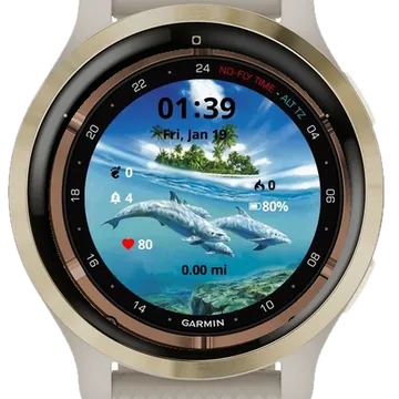Dolphin Family Garmin watch face preview