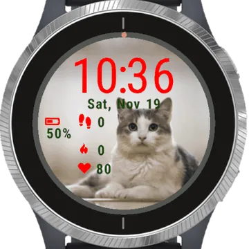 Domestic Cat Garmin watch face preview