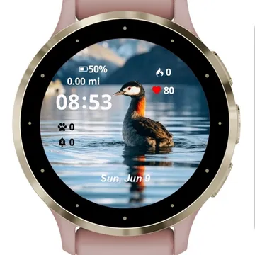 Duck Life Nature Garmin watch face preview