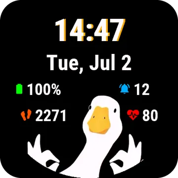 Duckfect Garmin watch face preview