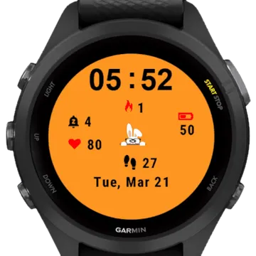 Easter Cute Bunny Garmin watch face preview