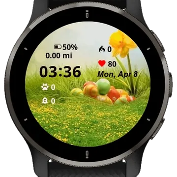 Easter Decorations Backdorps Garmin watch face preview
