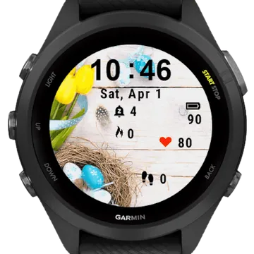 Easter Tulips Garmin watch face preview