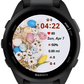 Eggs Basket Garmin watch face preview