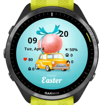Eggs Car Garmin watch face preview