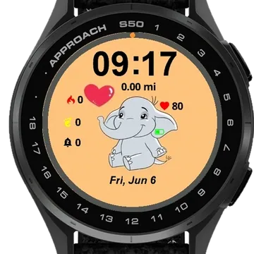 Elephant Garmin watch face preview