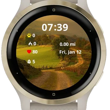 Enantiodromija Garmin watch face preview