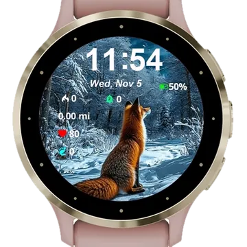 Enchanted Winter Night Garmin watch face preview