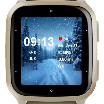 Enchanting Winter Garmin watch face preview