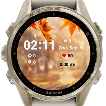 Fall Autumn Garmin watch face preview