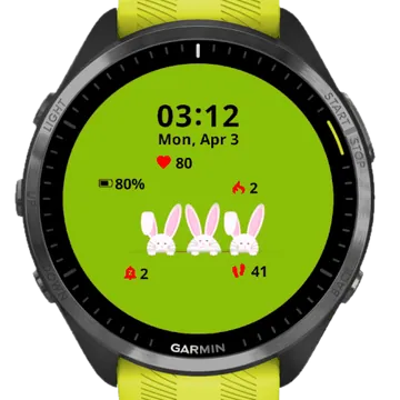 Family Bunny Garmin watch face preview