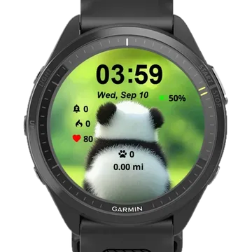 Fat Teddy Bear Garmin watch face preview