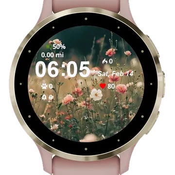 Field Flowers Sky Garmin watch face preview