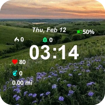 Field Flowers Sunset Garmin watch face preview