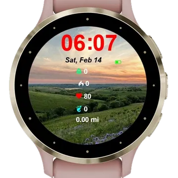 Field Flowers Sunset Garmin watch face preview
