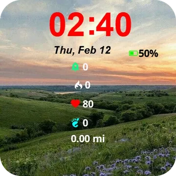 Field Flowers Sunset Garmin watch face preview