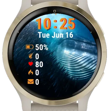 Fish Swimming Ocean Garmin watch face preview