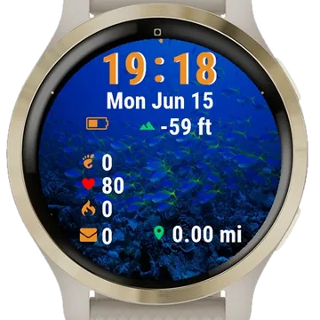 Fish Swimming Over Coral Garmin watch face preview