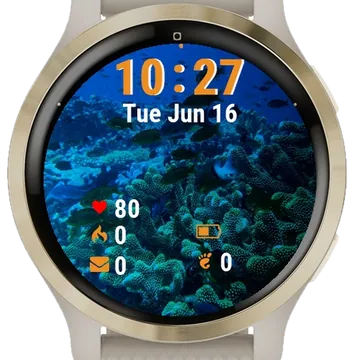 Fish Swimming Over Coral Garmin watch face preview
